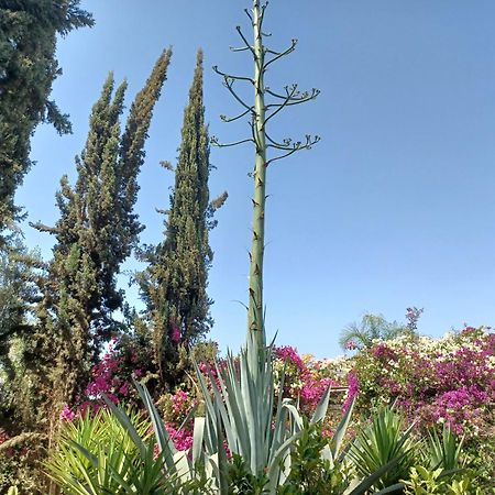 Riad-Villa Agadir-Taroudant Sidi Boumoussa Kültér fotó