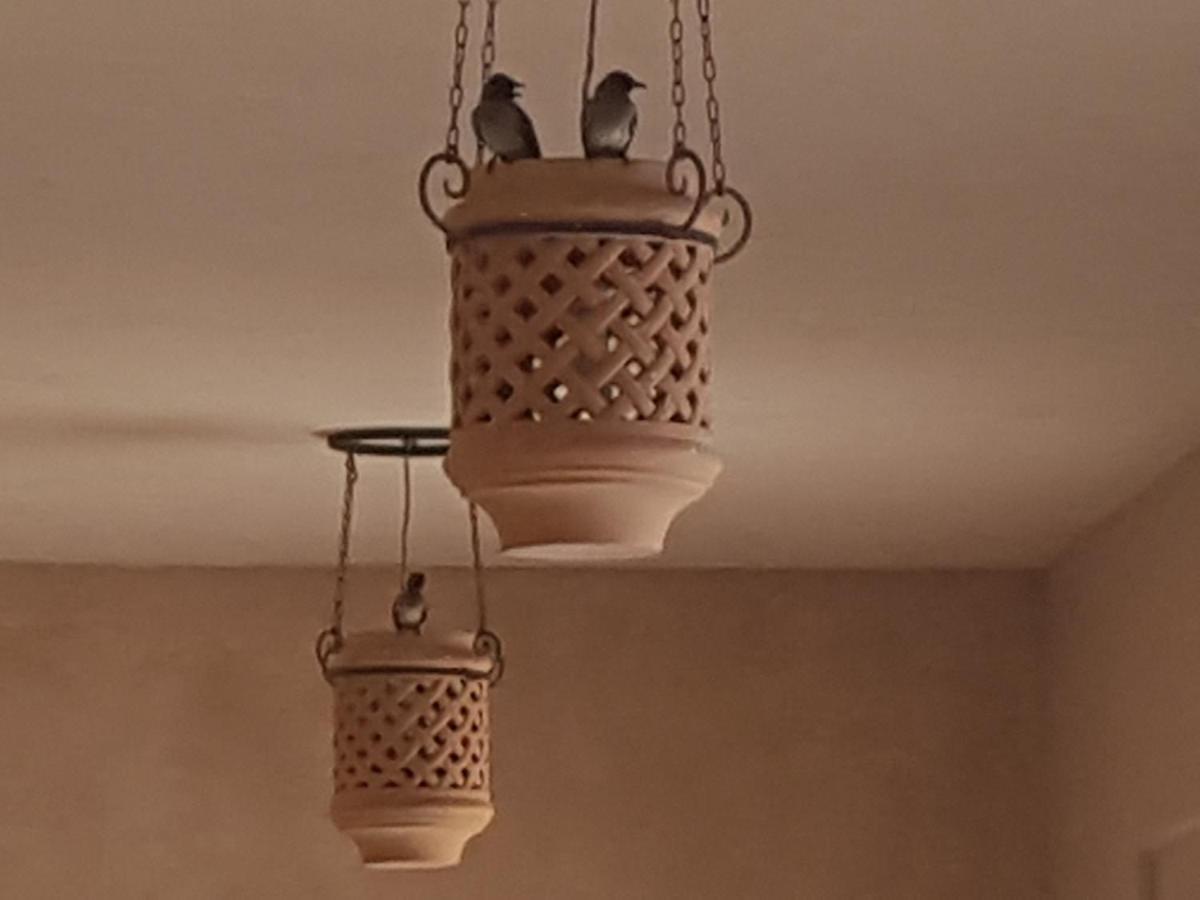 Riad-Villa Agadir-Taroudant Sidi Boumoussa Kültér fotó