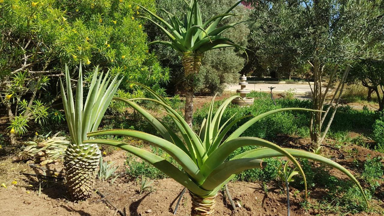 Riad-Villa Agadir-Taroudant Sidi Boumoussa Kültér fotó