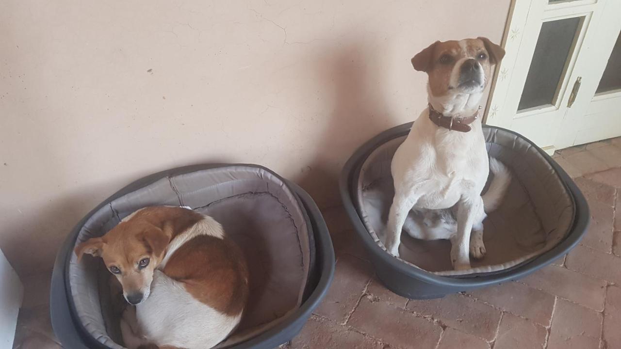 Riad-Villa Agadir-Taroudant Sidi Boumoussa Kültér fotó