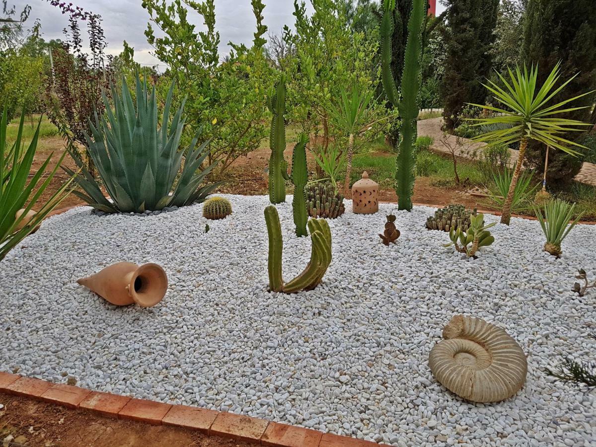 Riad-Villa Agadir-Taroudant Sidi Boumoussa Kültér fotó