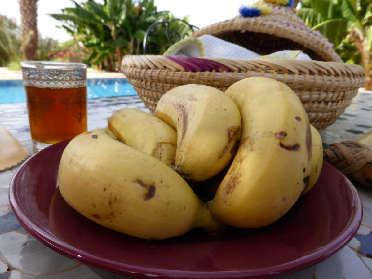 Riad-Villa Agadir-Taroudant Sidi Boumoussa Kültér fotó